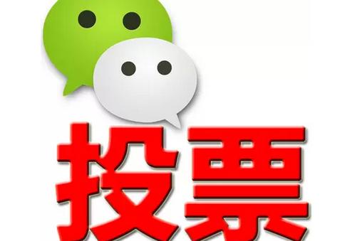 新乡市微信投票功能开发 上传图片投票